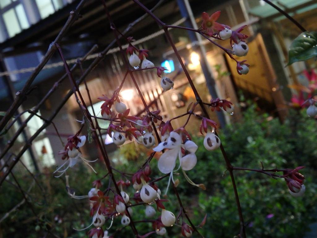 Tainan Guest House Hamuya Ngoại thất bức ảnh